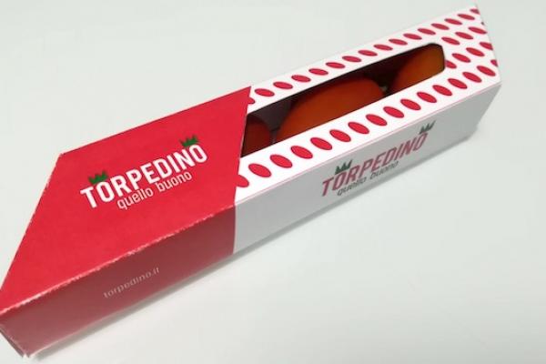 Torpedino